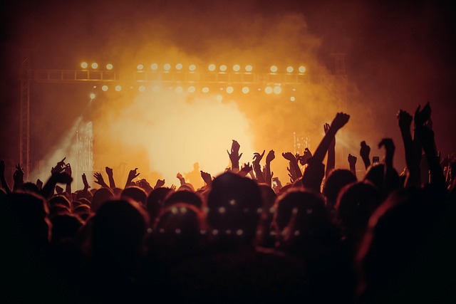 Um concerto de música com muitas pessoas assistindo e aplaudindo